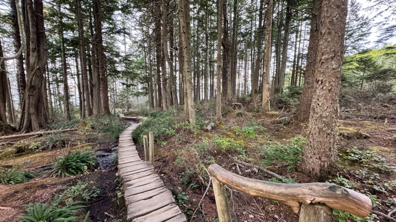 Remembering Leif Johnson