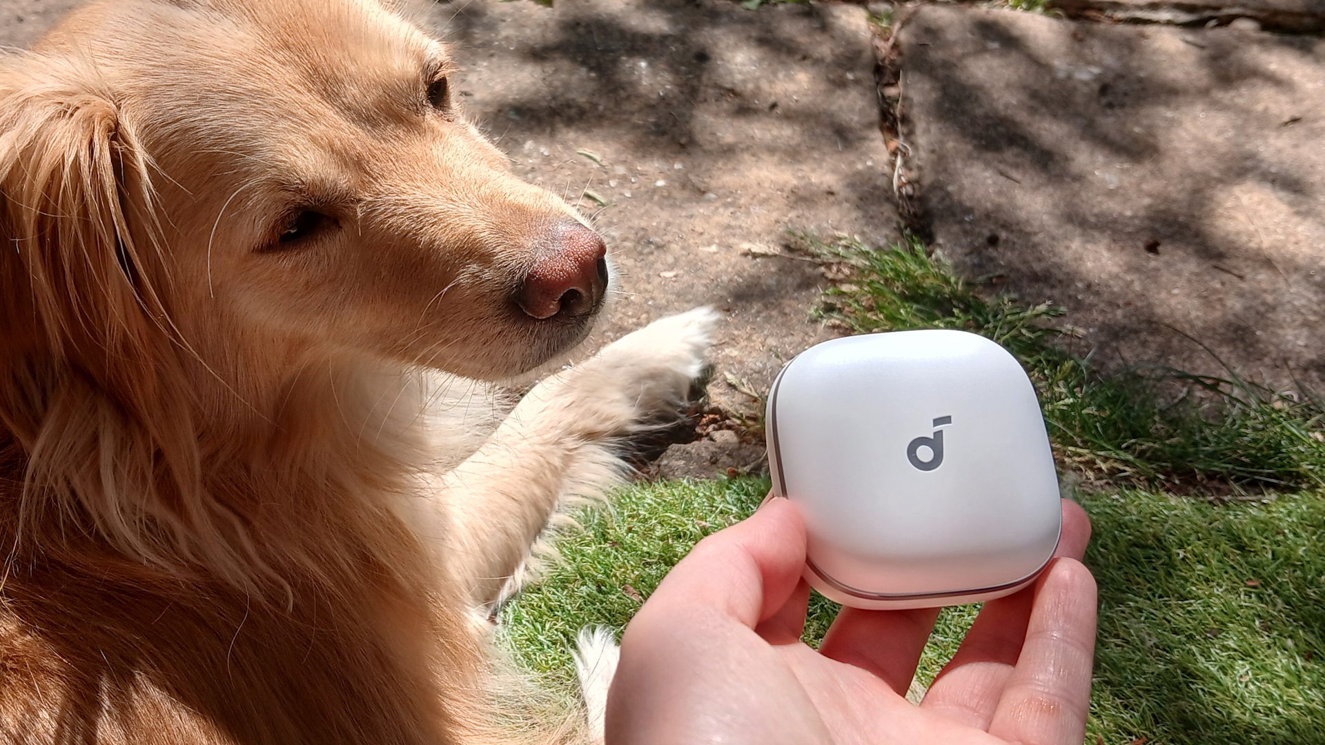 The Soundcore Liberty 5 earbuds outside in the sunlight and held by our reviewer, Katie Wickens.