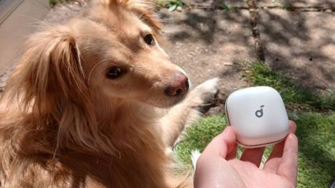 Soundcore Liberty 5 earbuds review