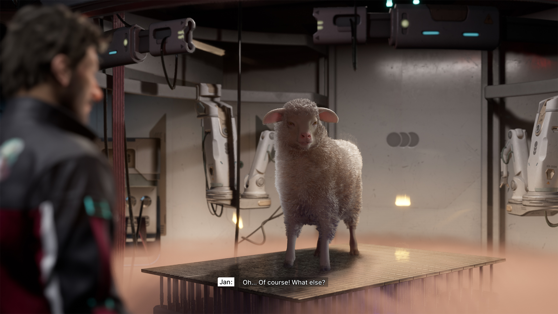 Jan Dolski looking at a sheep in The Alters. Jan Dolski looking at a sheep in The Alters.