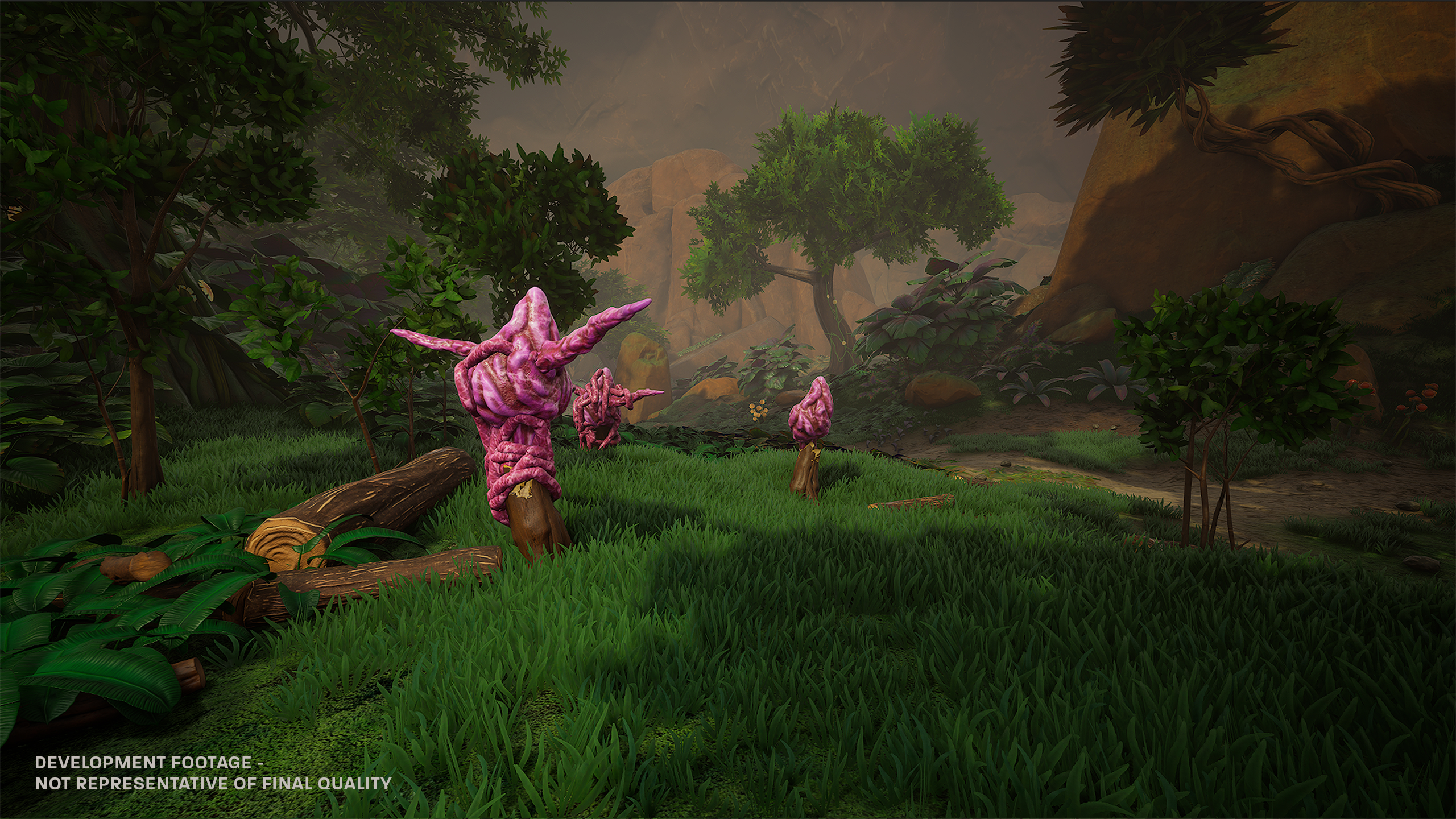 Screenshot from survival game Blind Descent