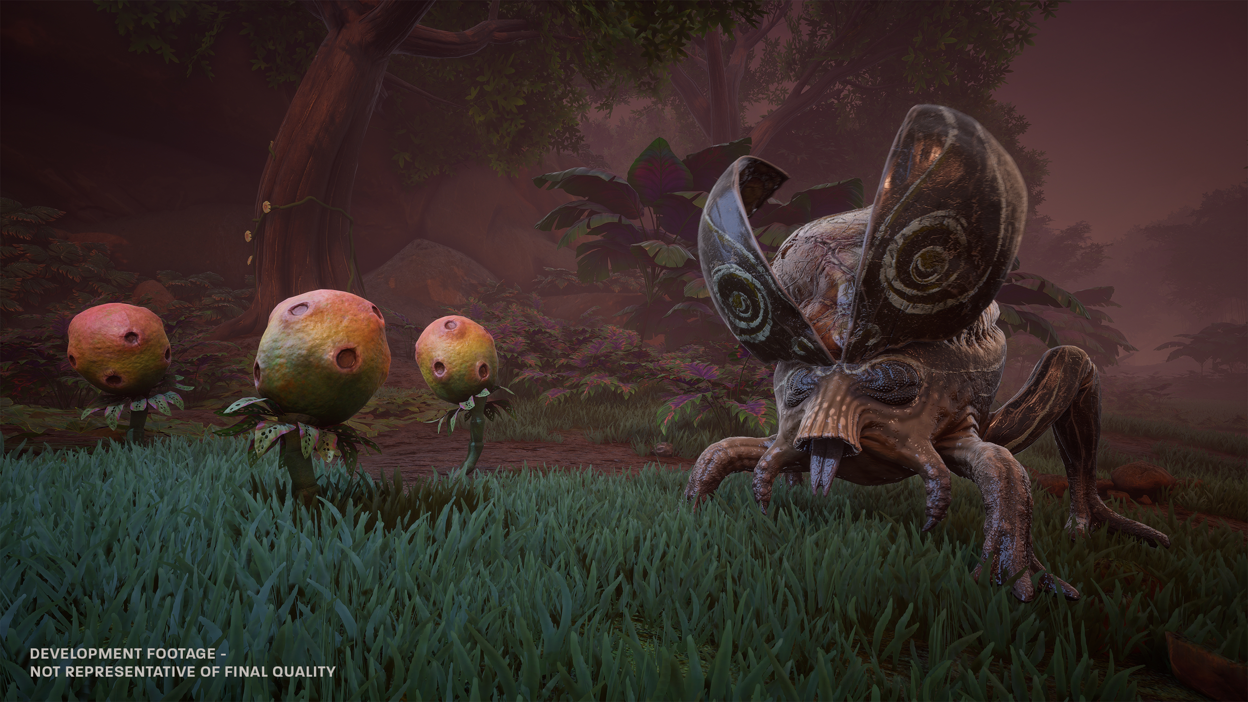 Screenshot from survival game Blind Descent