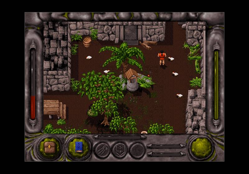 Entomorph gameplay showing Squire Warwick exploring a village