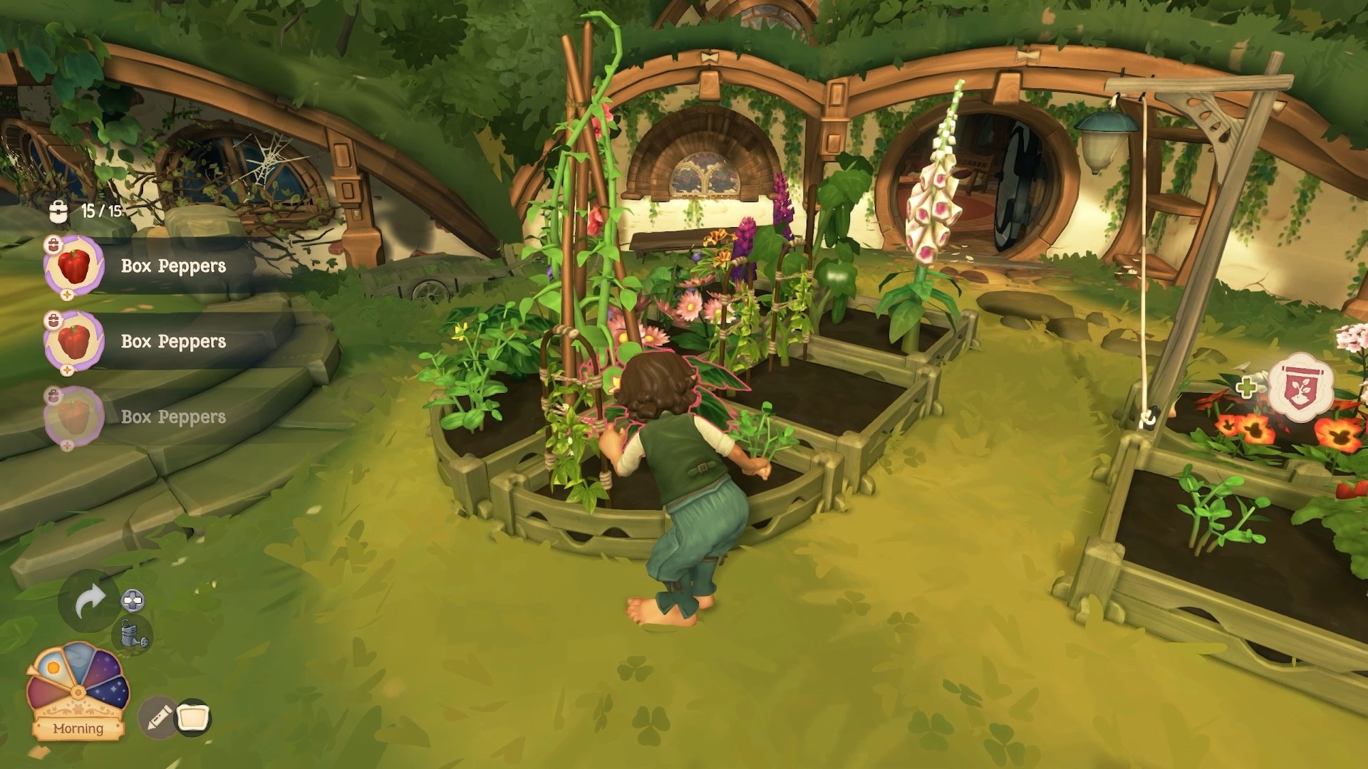 Picking Bell Peppers in a Tales of the Shire garden.