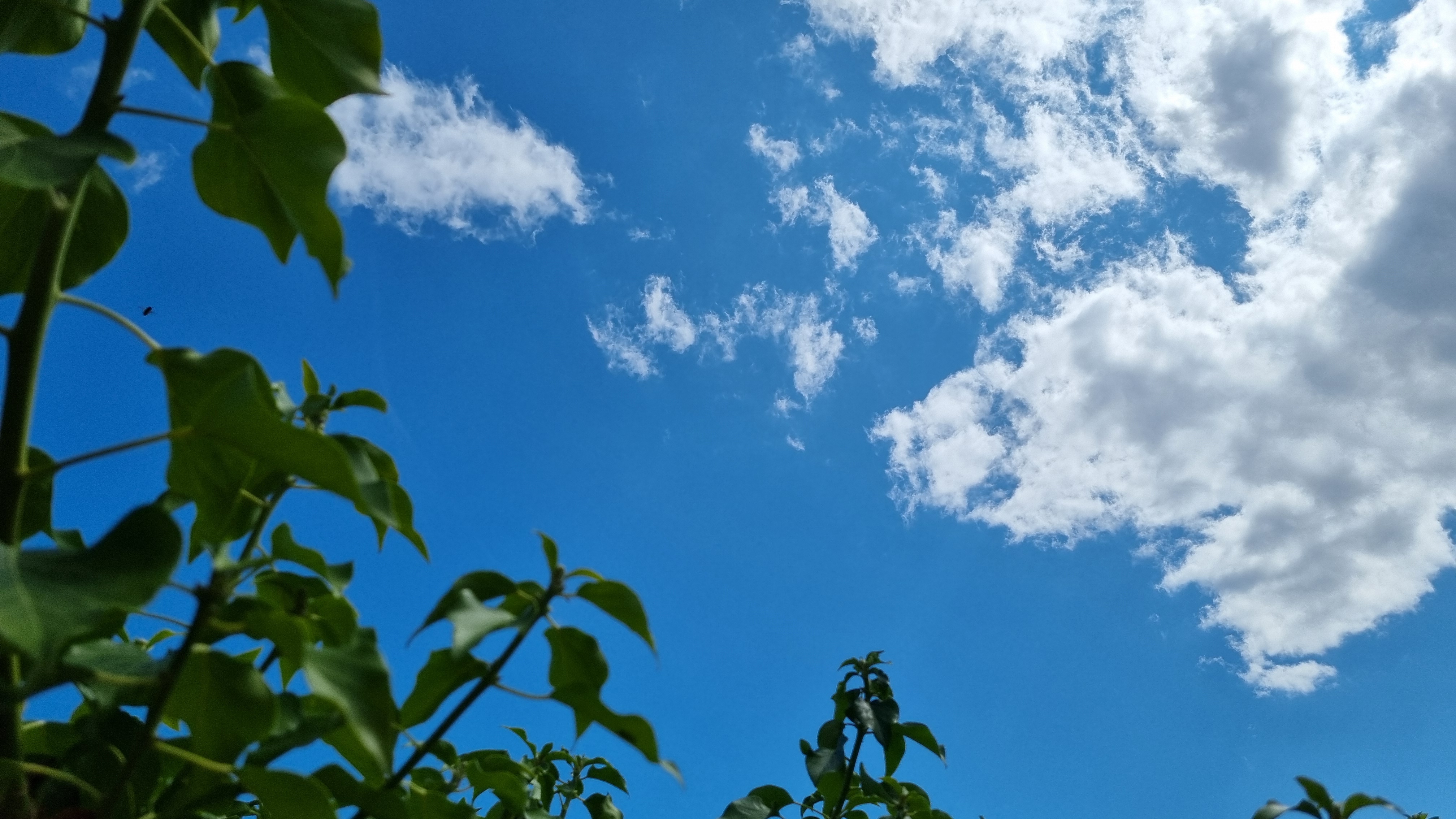 A beautiful British summer sky, with obligatory rain cloud