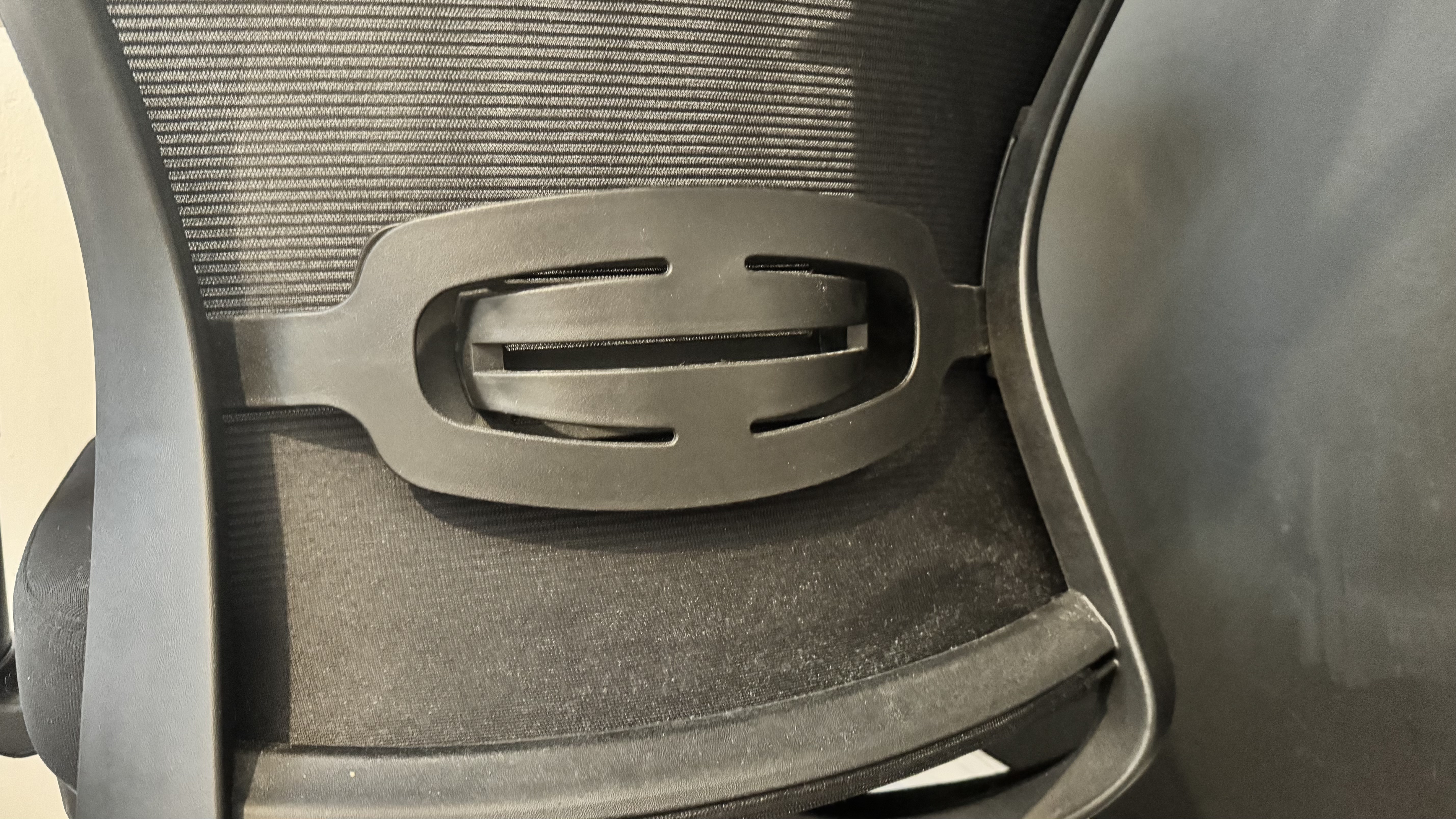 Flexispot BS3 / OC3 office chair back support (in black)