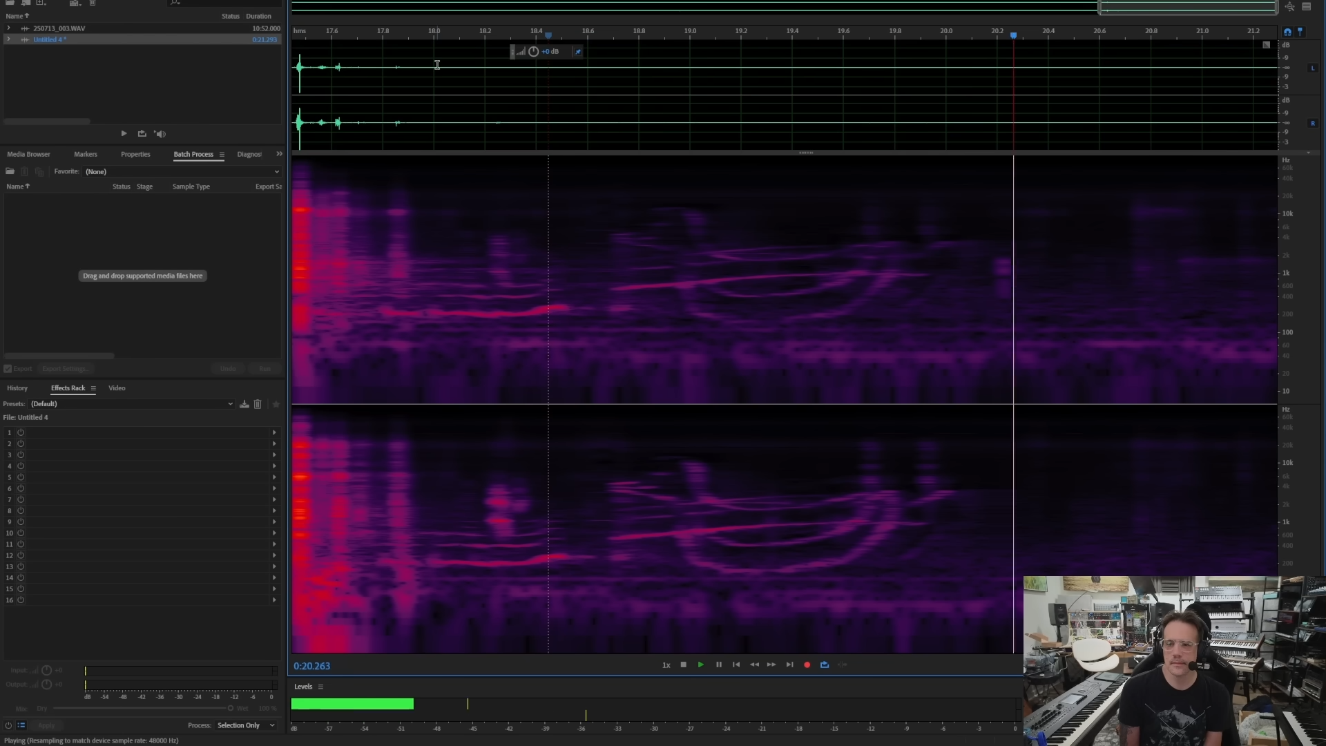 Benn Jordan's bird doodle reproduced in the spectrogram of a starling's vocalization.