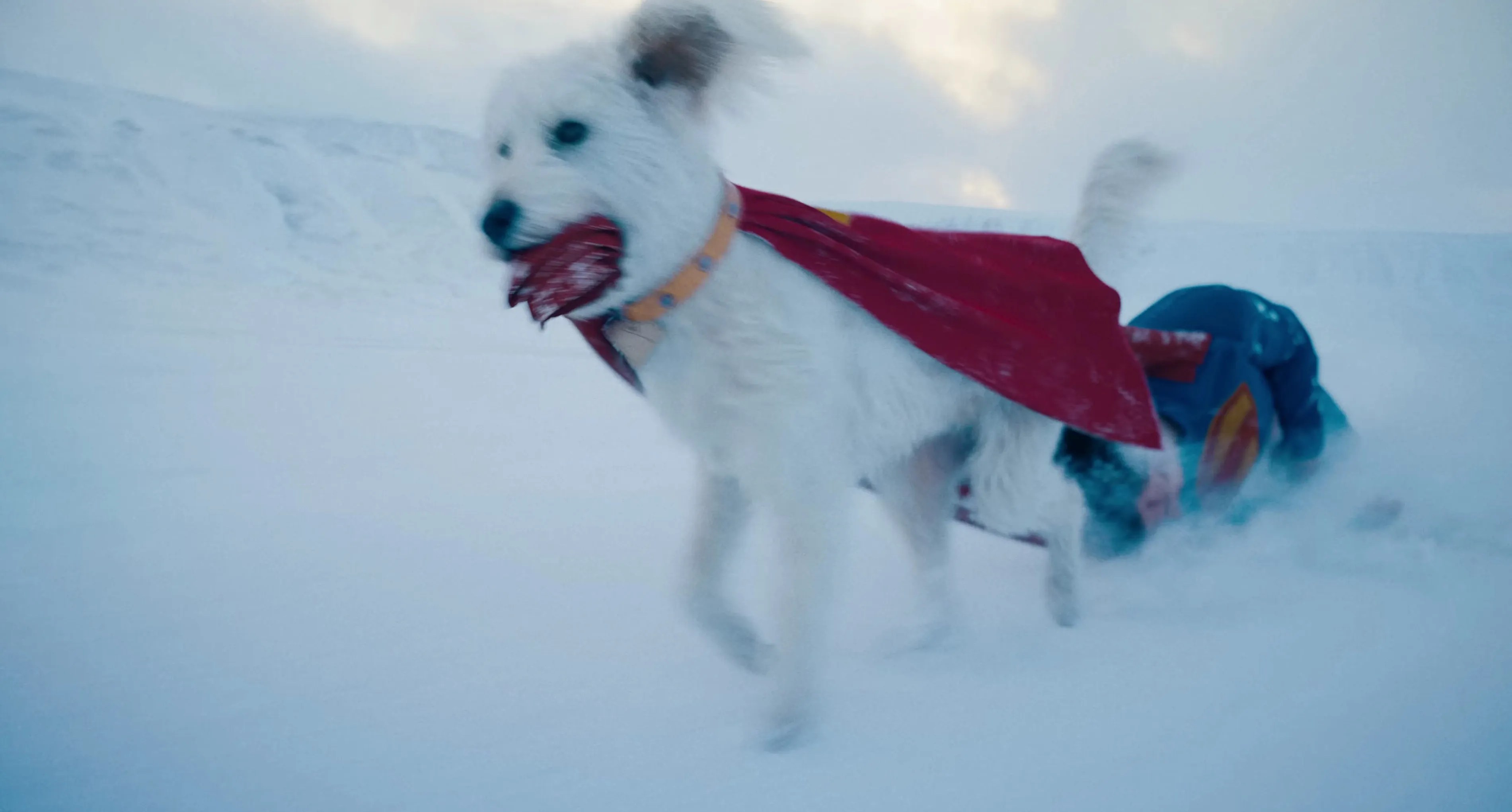 Krypto drags Superman 2025 across the ice Krypto drags Superman 2025 across the ice
