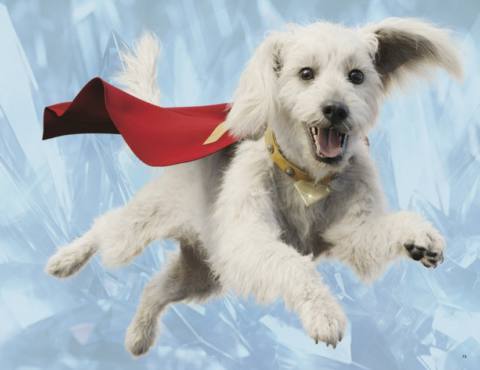 Superman’s embarrassing video game legacy has a solve in Krypto