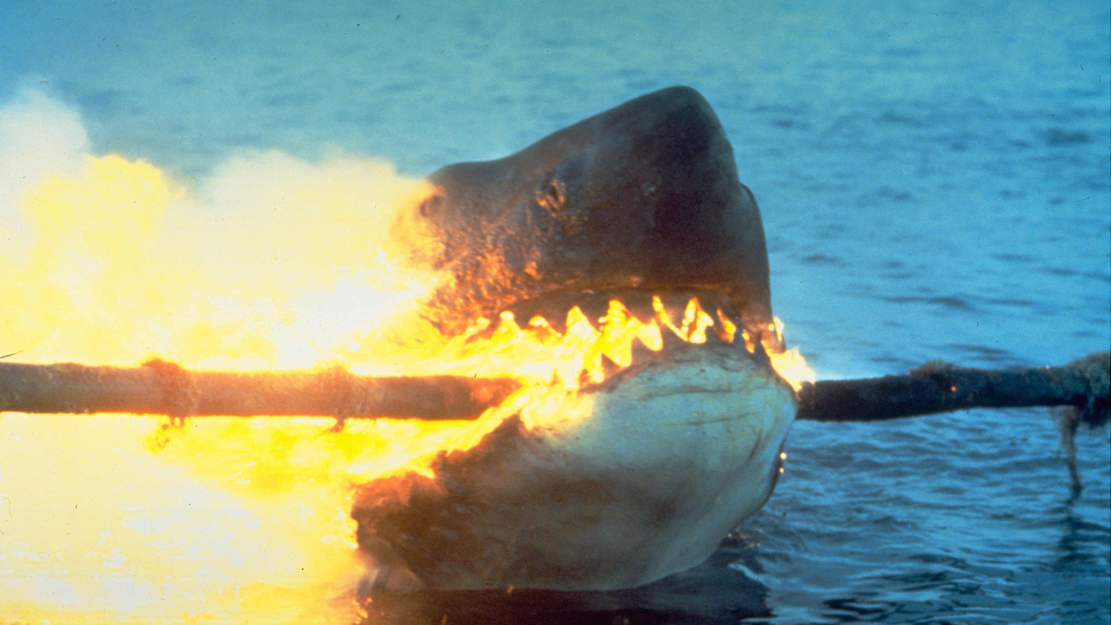 In an image from the movie Jaws 2, a fake-looking shark takes a bite out of an electrical line, engulfing its mouth in flames. In an image from the movie Jaws 2, a fake-looking shark takes a bite out of an electrical line, engulfing its mouth in flames.