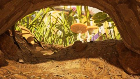 Where to find grass seeds in Grounded 2