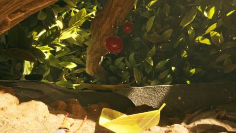 Some bright red berries on a shrub in Grounded 2.