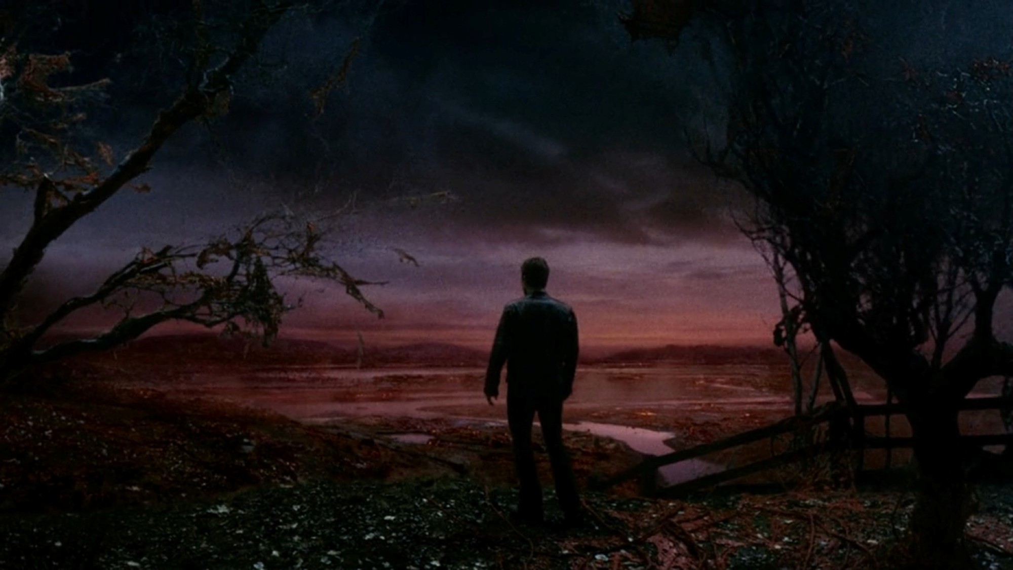 A wide landscape shot turns blood red as Ray, played by Tom Cruise, looks over a field of alien vegetation in the 2005 film War of the Worlds. A wide landscape shot turns blood red as Ray, played by Tom Cruise, looks over a field of alien vegetation in the 2005 film War of the Worlds.