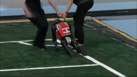 If you were ever worried about a machine uprising, check out the World Humanoid Robot Games and have a giggle with me