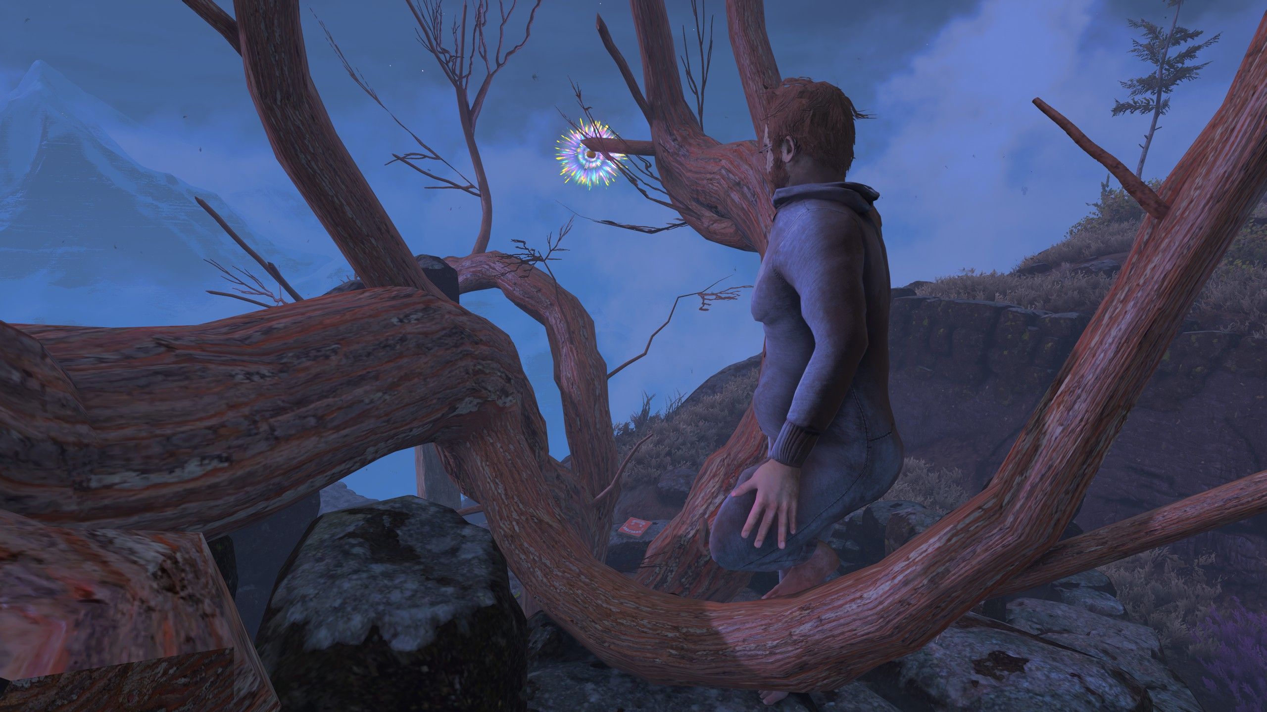 An object out on a tree branch glows temptingly