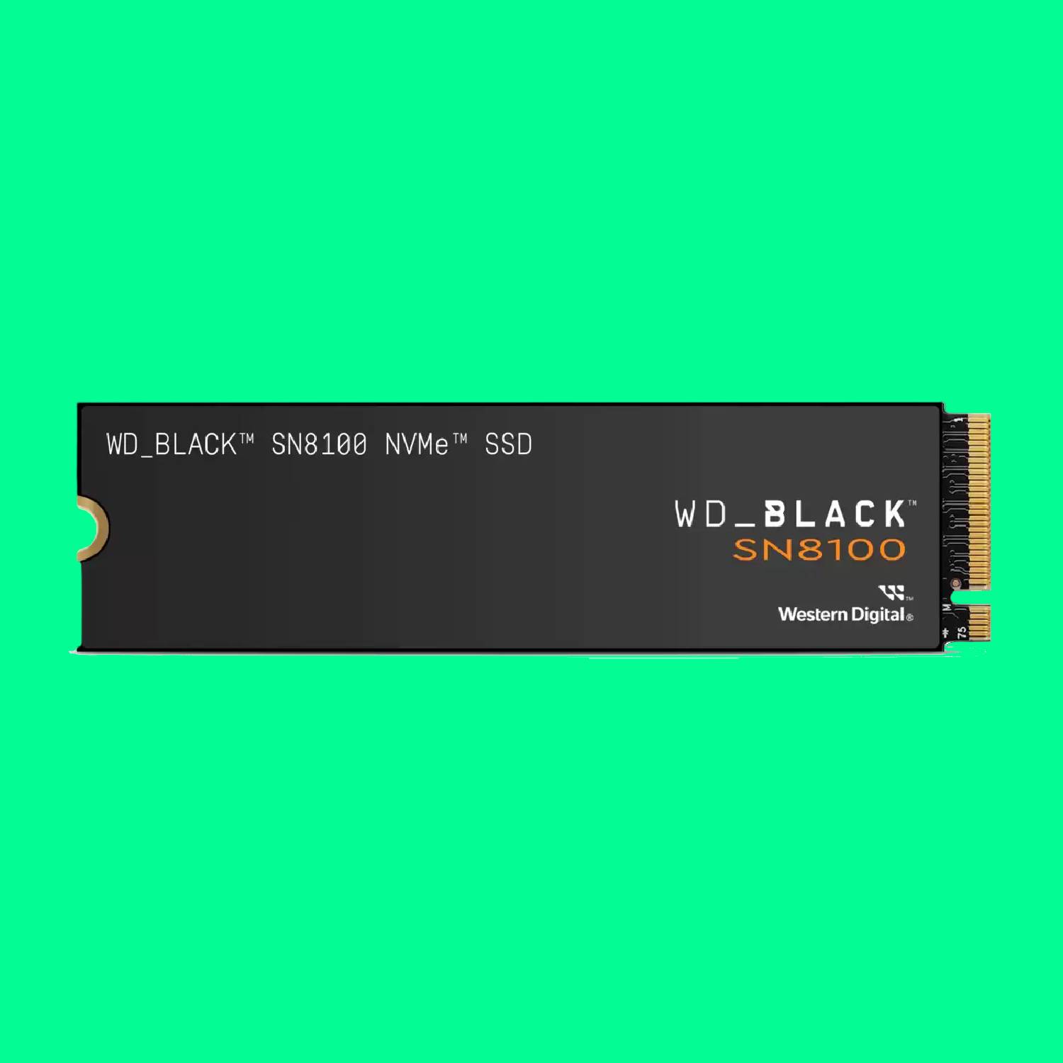 WD Black SN8100 SSD on a green background