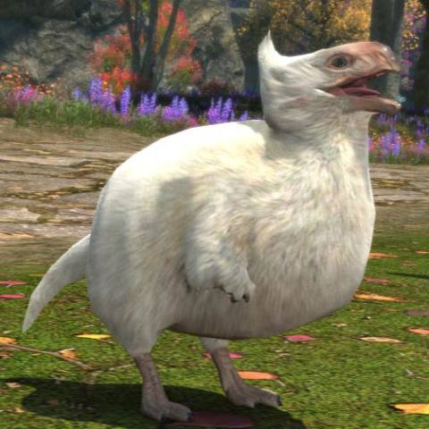 FF14 is getting a baby Seikret minion as part of its Monster Hunter Wilds collab, and I will fistfight Arkveld alone for it