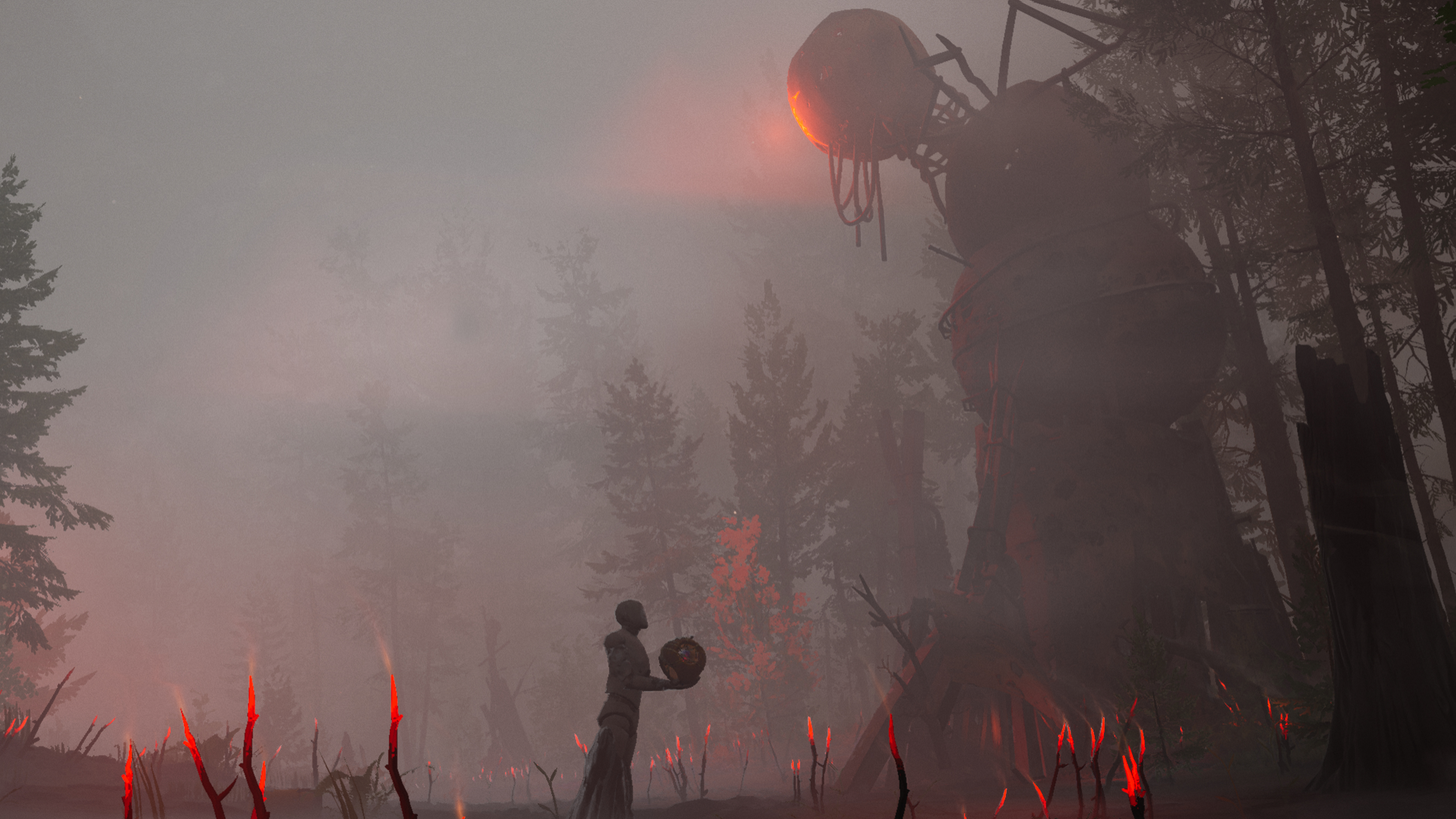 A card in the woods and it's spooky