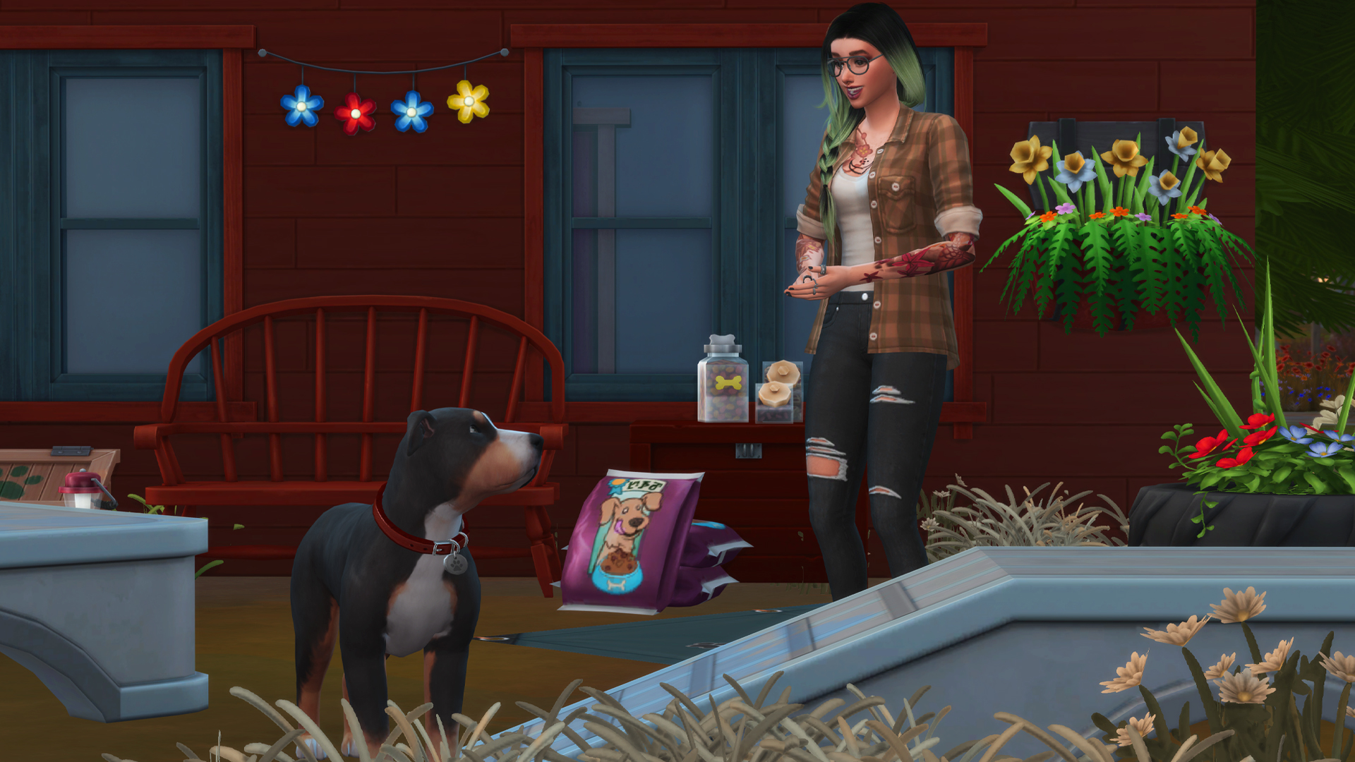 A Sim training her Swiss Mountain Dog in The Sims 4