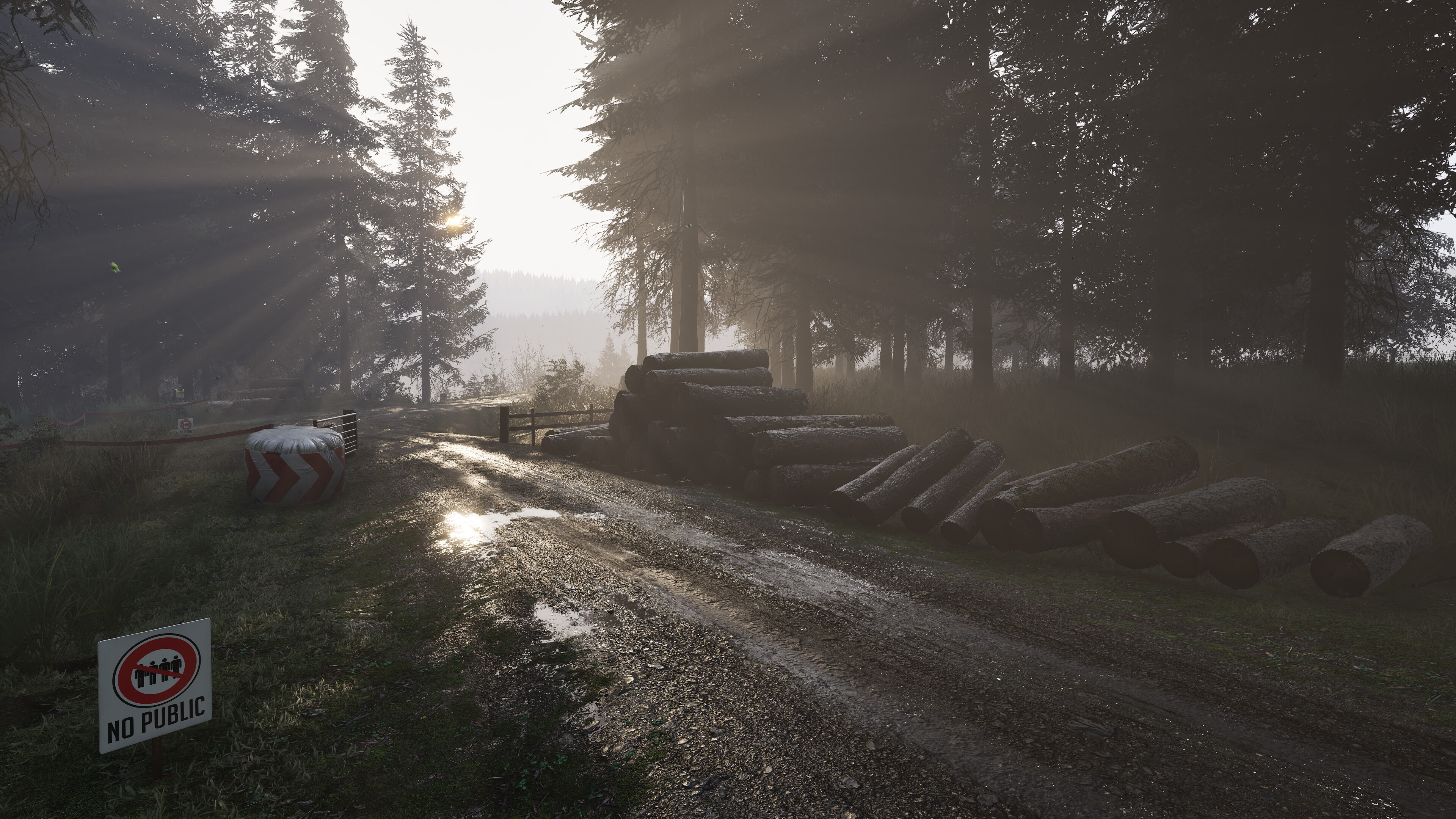 Loose logs line a race track in Assetto Corsa Rally.