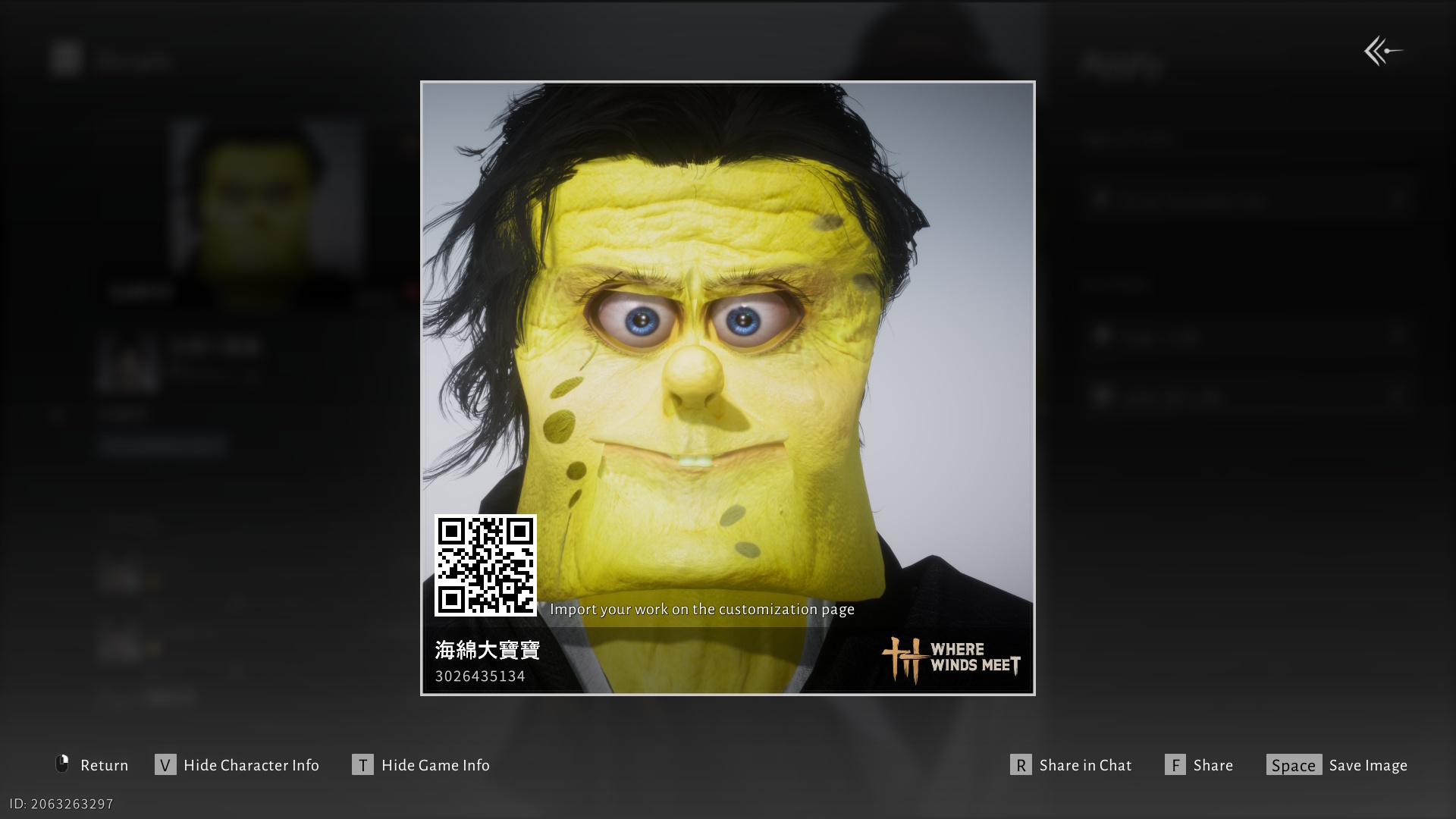 Where Winds Meet character customization codes