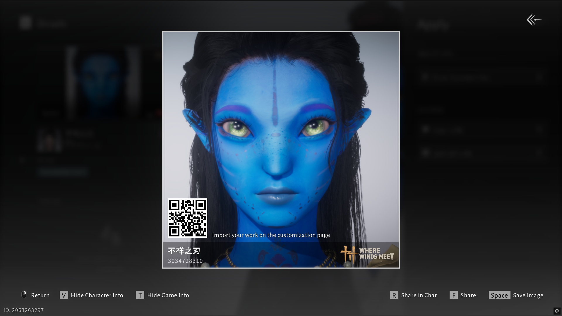 Where Winds Meet character customization codes