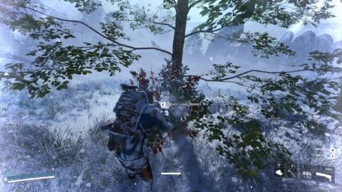 How to get Candleberries in Arc Raiders