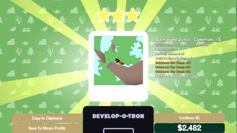 This birdwatching take on Pokémon Snap says my awful Junco photography is worth $6000 and I’m not about to argue