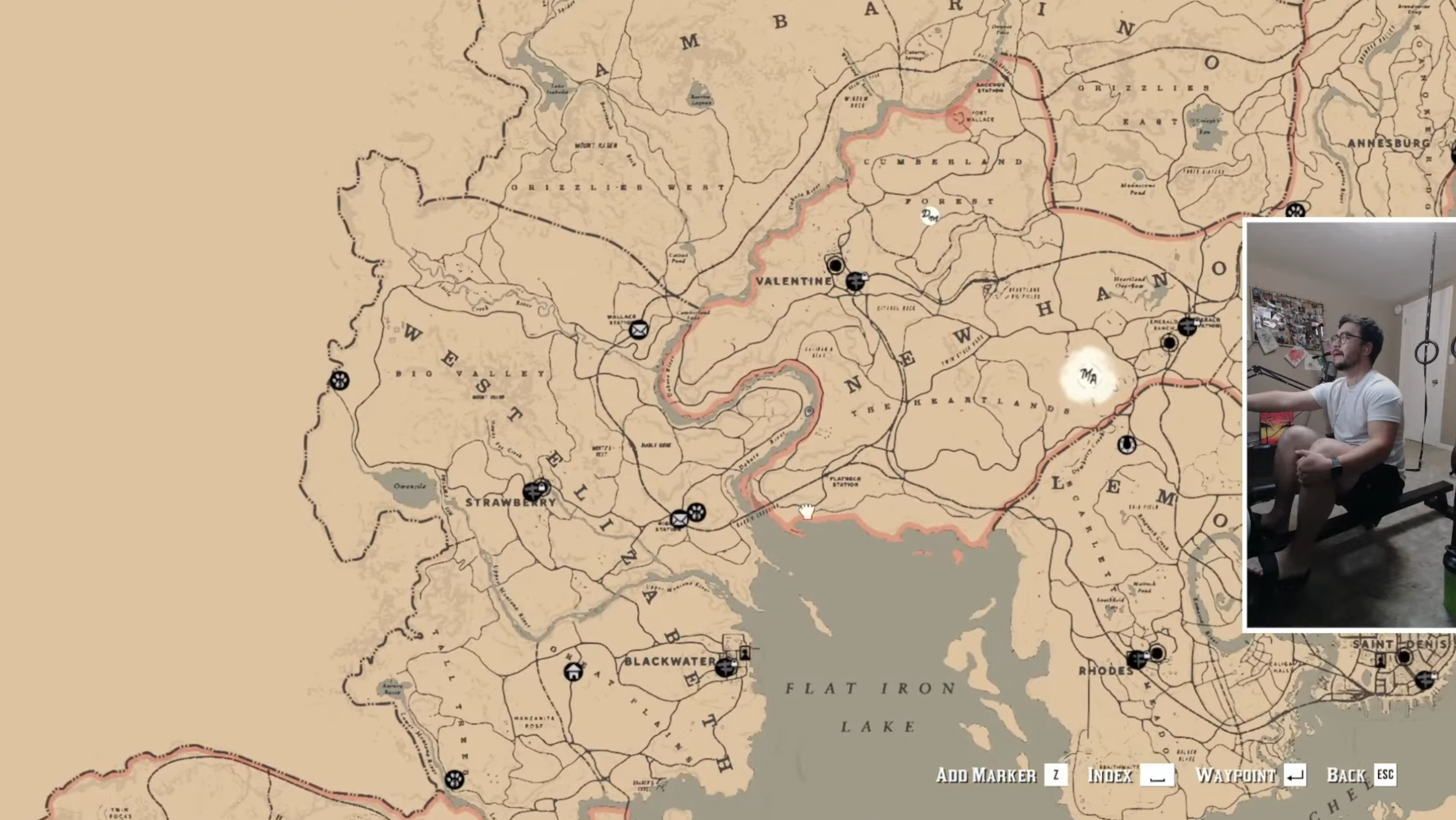 Screenshot of Red Dead Redemption 2