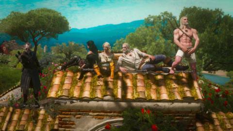 Ever wanted to play The Witcher 3 with friends? An online multiplayer mod has arrived