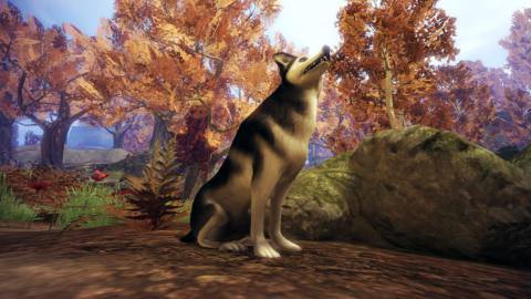 Fable is getting rid of the old games’ horrible dog, who I hate
