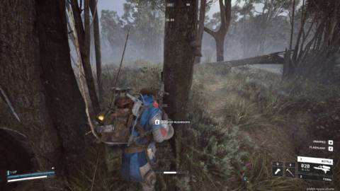 ‘Begun, the Mushroom Wars have’: Bodies are piling up next to shelf fungi in Arc Raiders as players fight for the slim supply of mushrooms