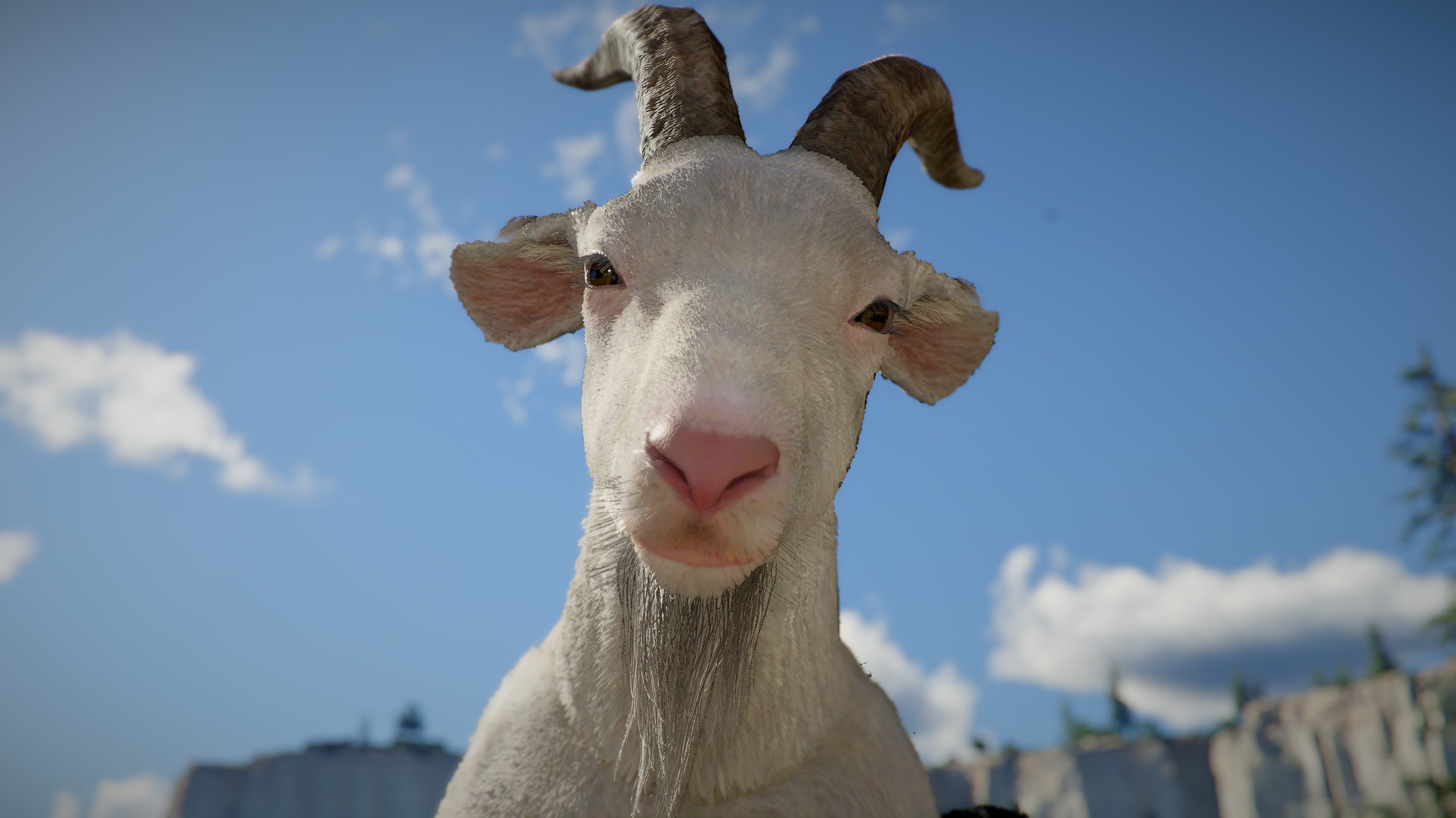 A closeup of a goat in Crimson Desert.