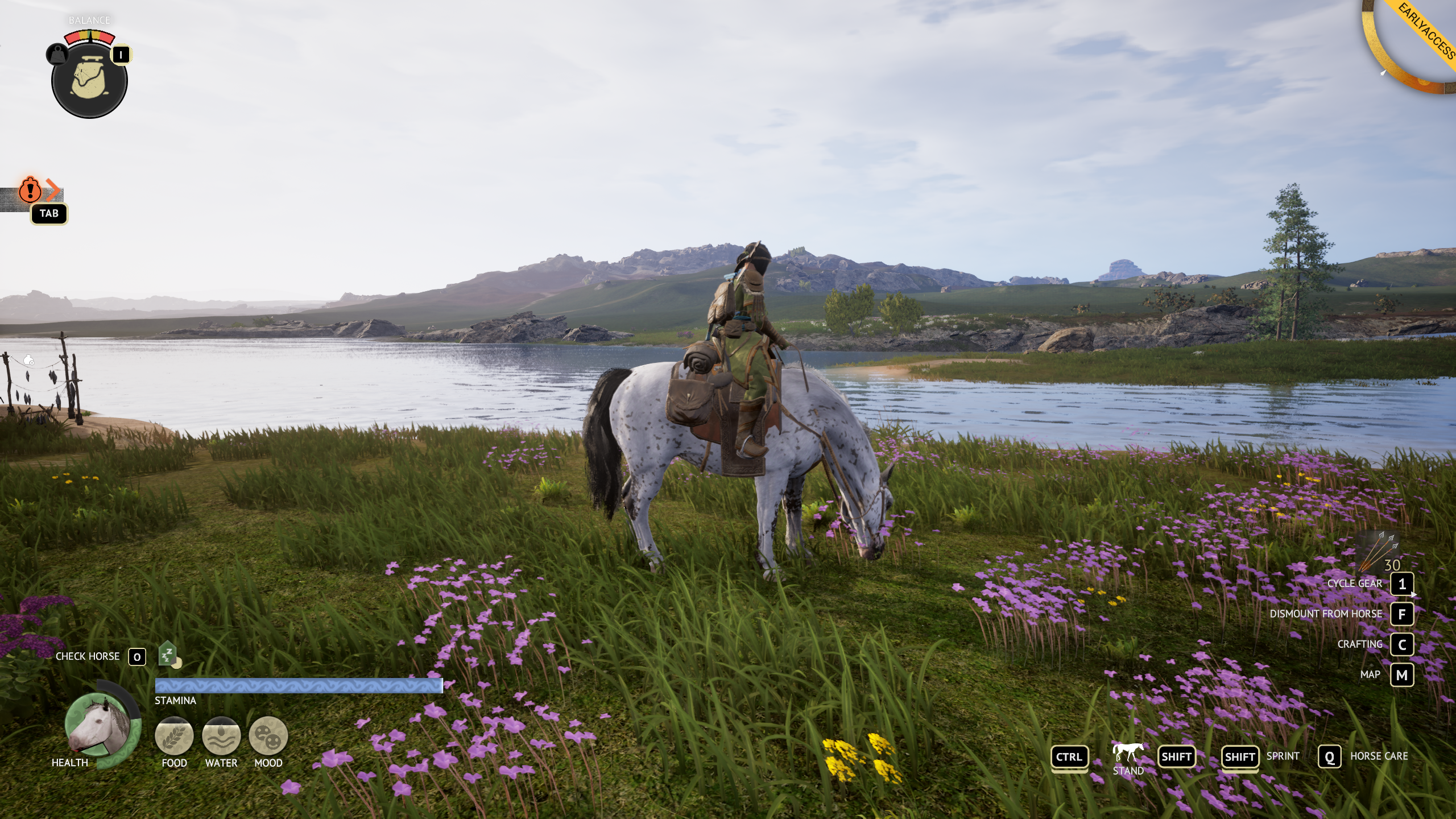 The Legend of Khiimori graphics settings - medium