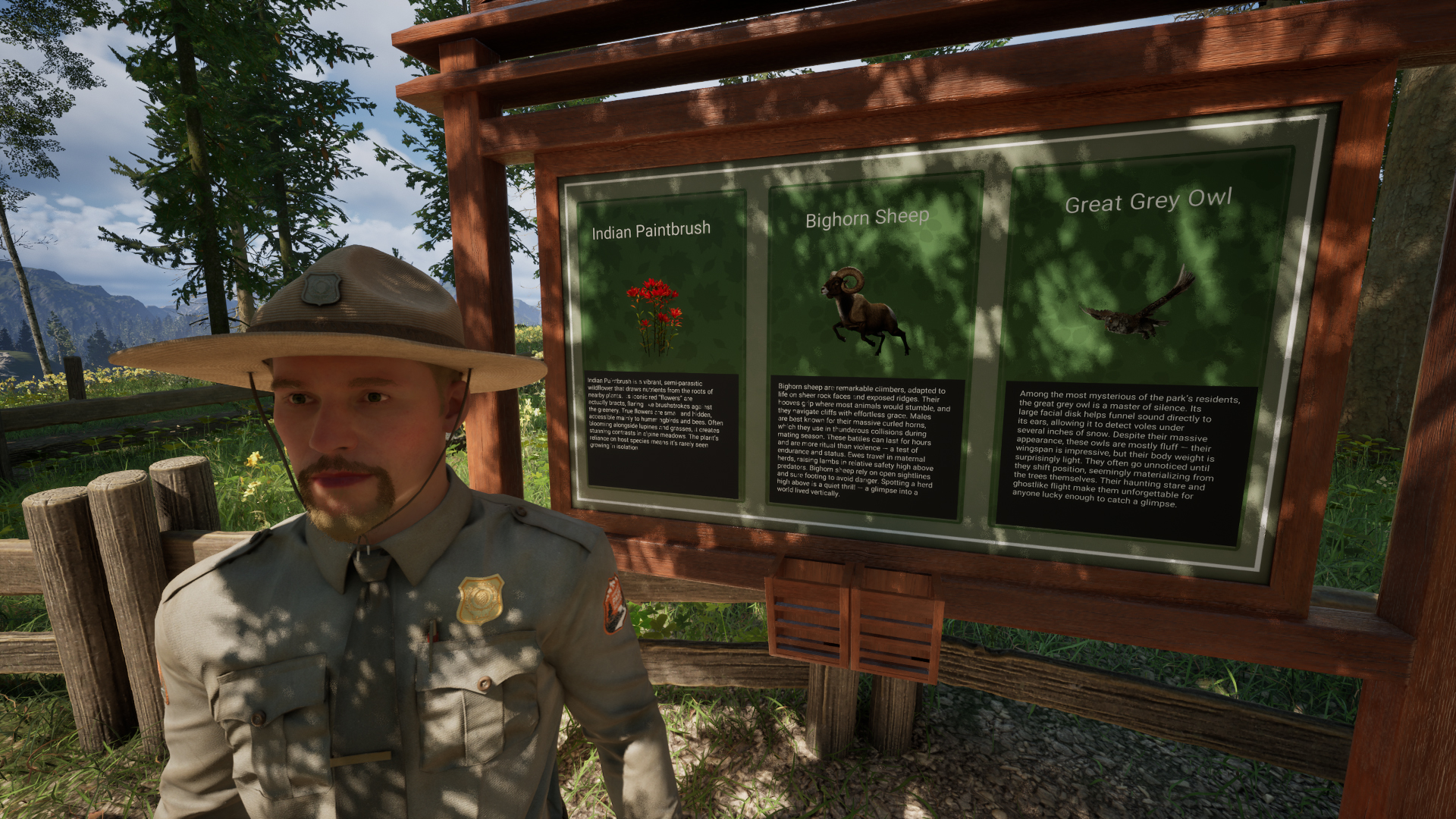 A park ranger doing park ranger things