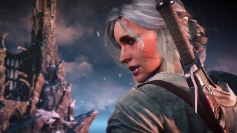 The Witcher 3 DLC rumours strengthen as insider suggests it takes place near Velen, not Zerrikania