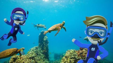 Tomodachi Life: Living the Dream is reportedly taking France by storm, beating out Resident Evil; Requiem in launch physical sales