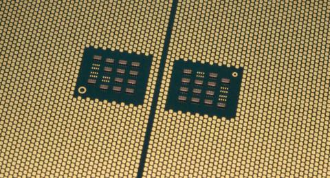 ByteDance has had enough of waiting months for processors, so it’s going to make them itself