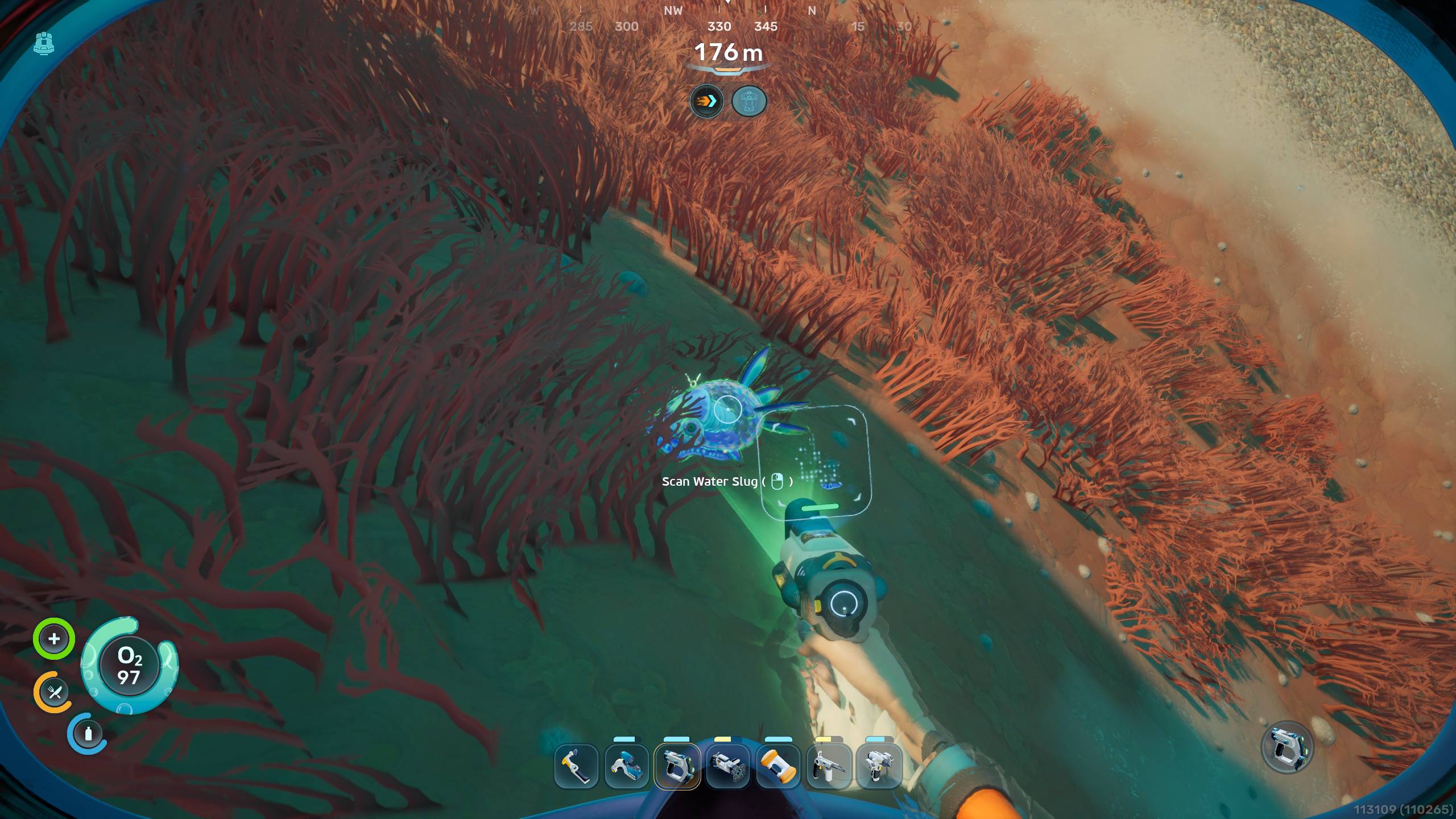 Subnautica 2 Biomods: A player looking at a Water Slug on the ocean floor, next to red coral 'grass'.