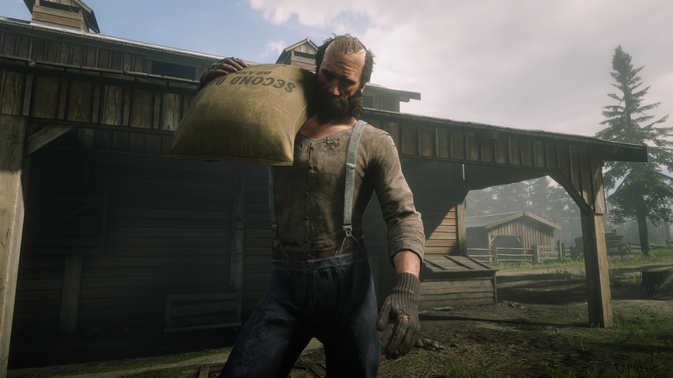 Red Dead Redemption 2 occupations