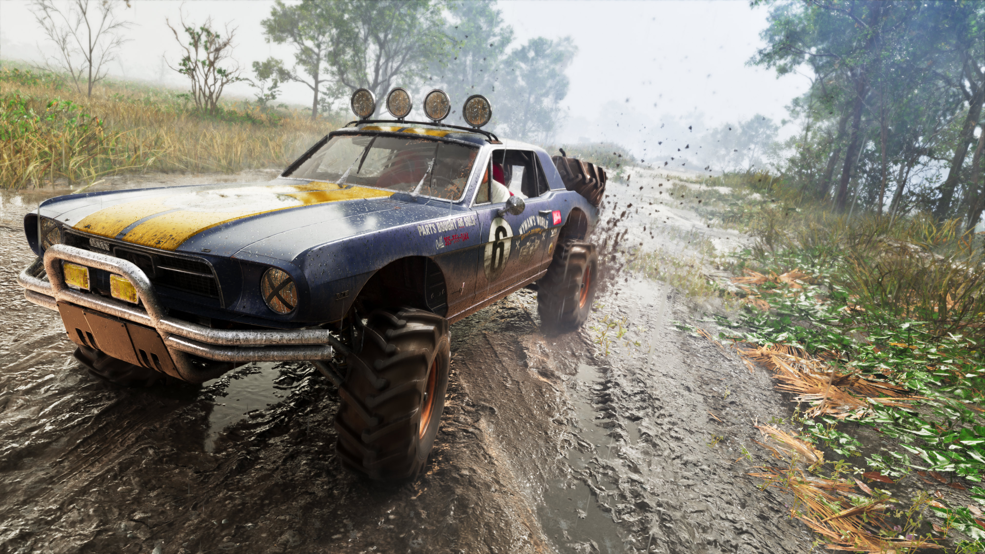 Car in the mud.