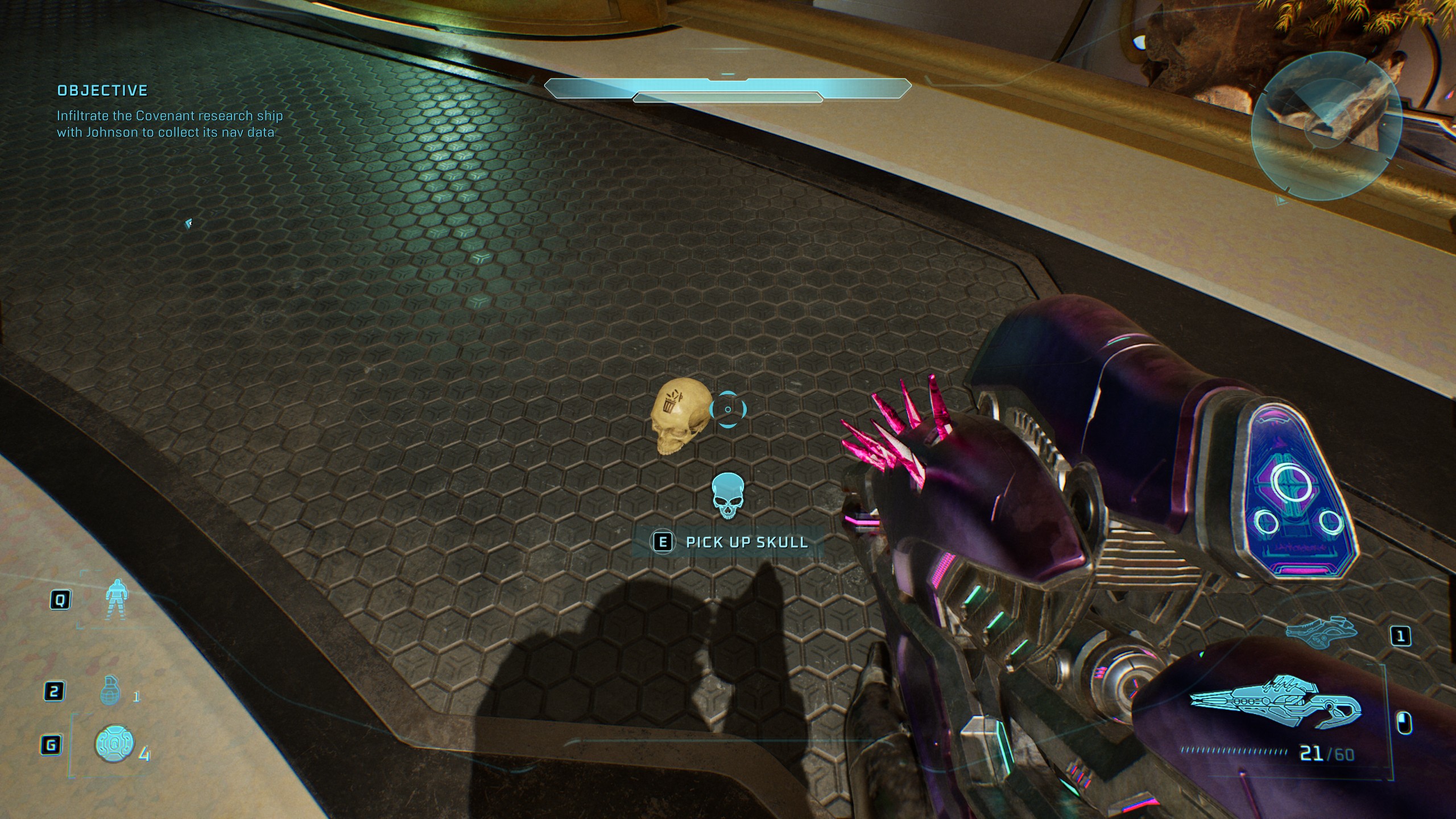 Halo skulls - Johnny Ammo Seed