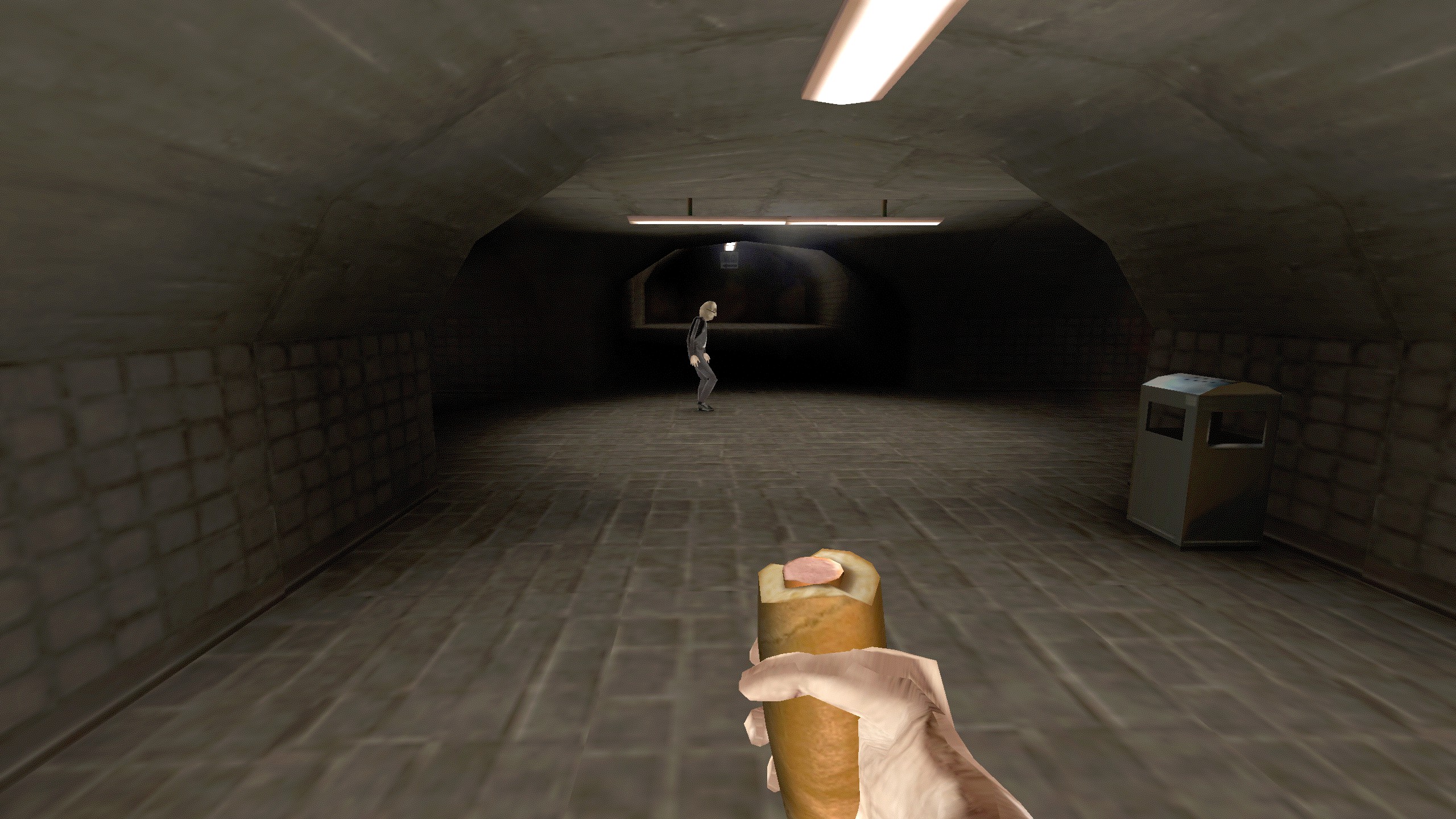 Brno Transit eating hot dog in first person