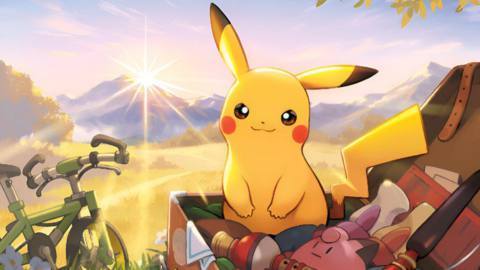 Two brothers admit to stealing more than £71,000 worth of Pokémon TCG cards after failing to escape the police and hide the loot