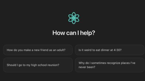 ChatTJB is a fake chatbot where a guy called Tucker Bryant answers queries himself: ‘I tend to overcommit to bits’