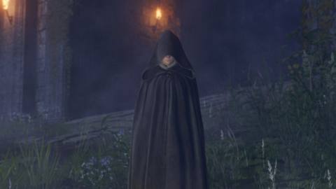 Elden Ring plays much better than I’d expected on Switch 2, but it isn’t without its flaws
