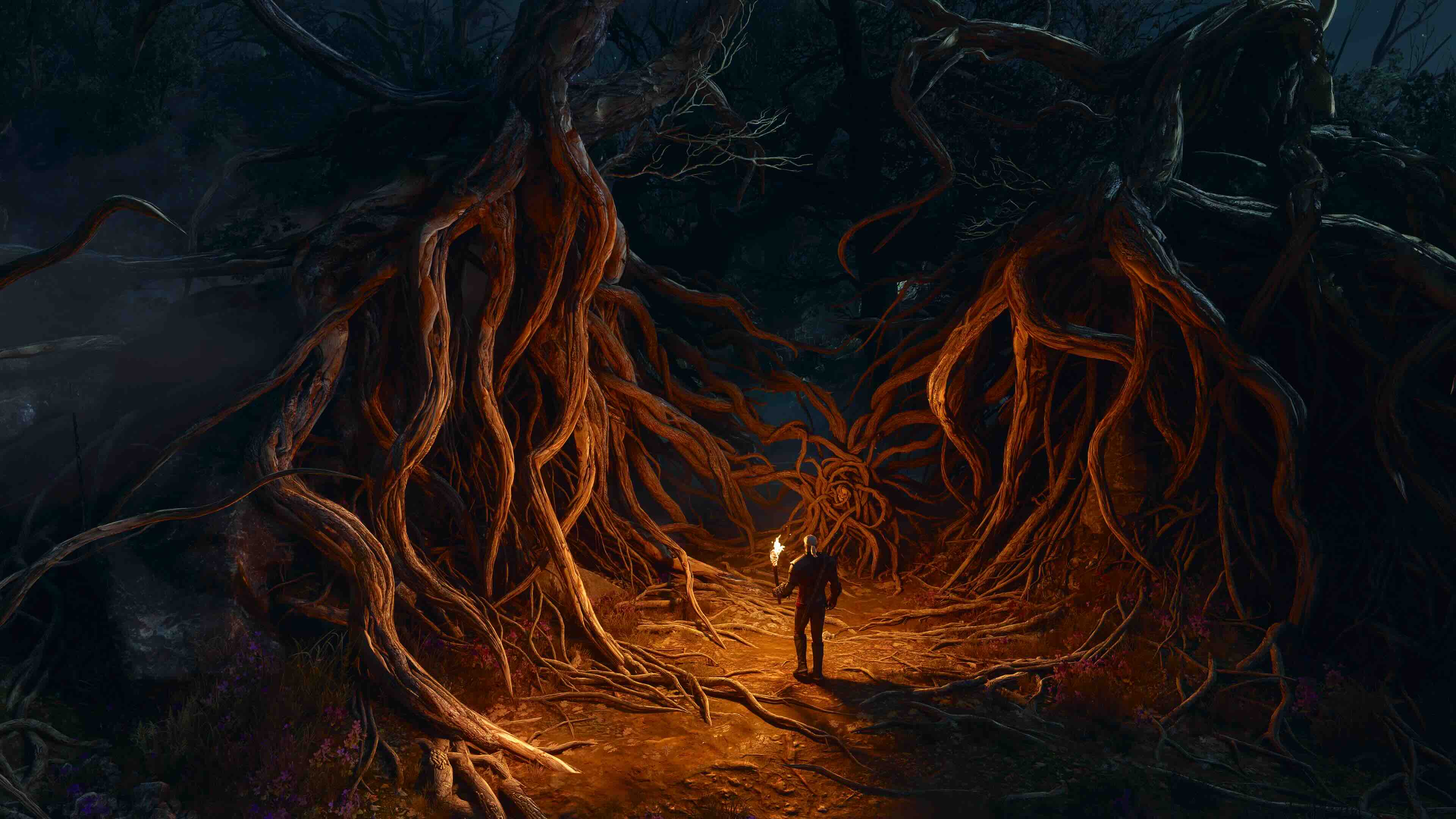 Witcher 3 – Songs of the Past