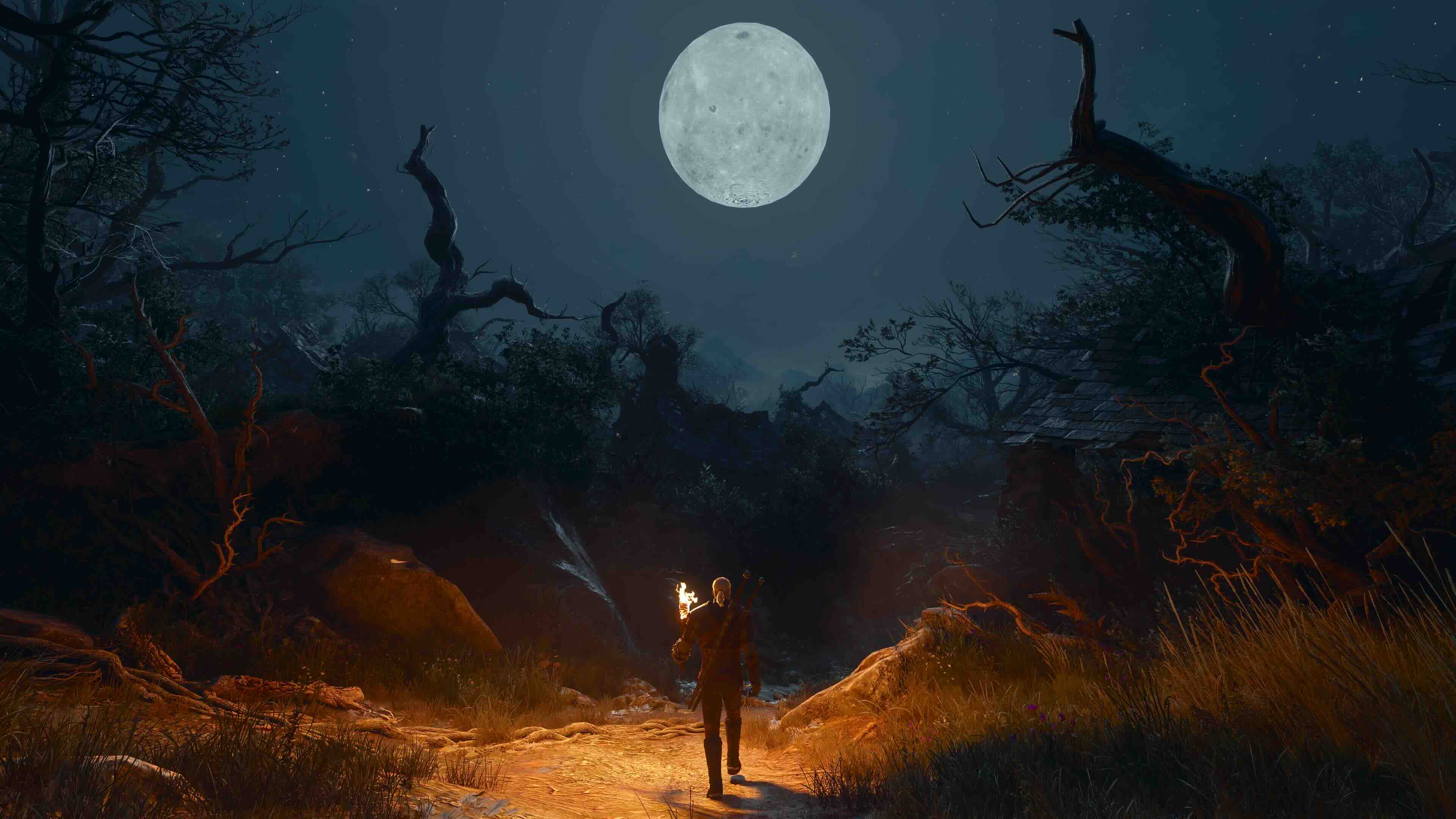 Witcher 3 – Songs of the Past