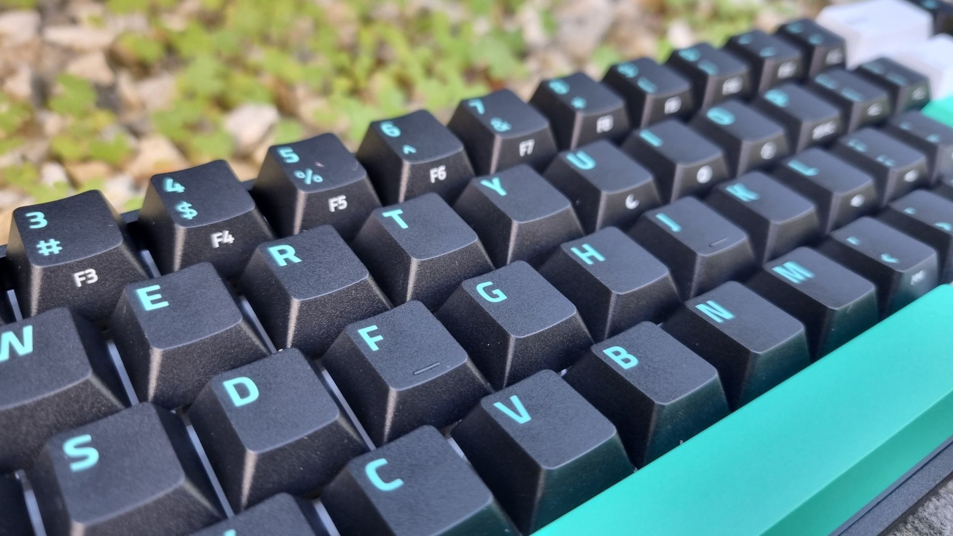 A close up of the keycaps on the Razer Reclusa X Mini