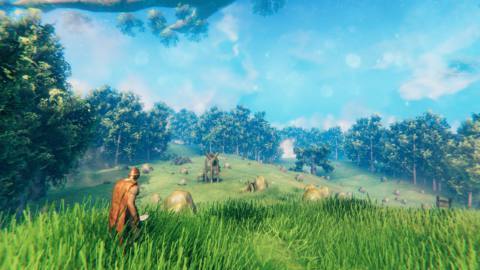 Valheim 1